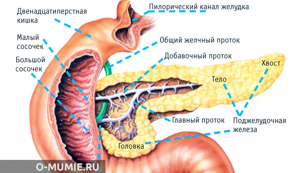 Мумиё для лечения поджелудочной железы